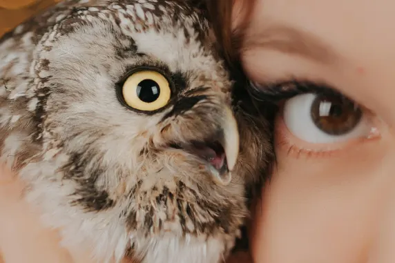 BoaBoa Casino Support